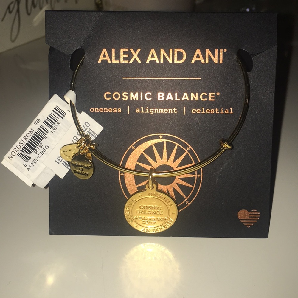 ALEX AND ANI